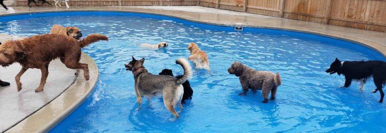 Hollandia Pools & Spas