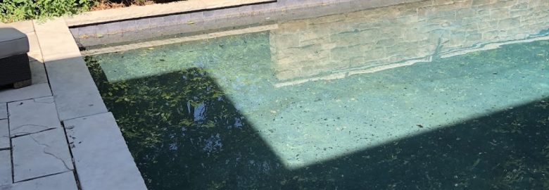 Tecum Pools and Spa LTD.