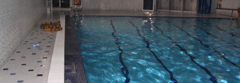 Queen Pools and spas Inc