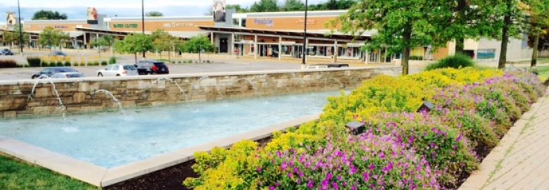 Element Landscape Services Inc