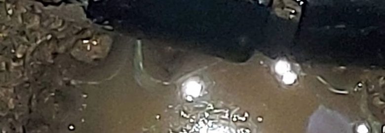 Ontario Leak Detection