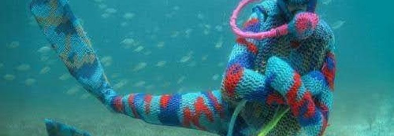 Aquatic Pool Repair & Diving Services & Search Recovery