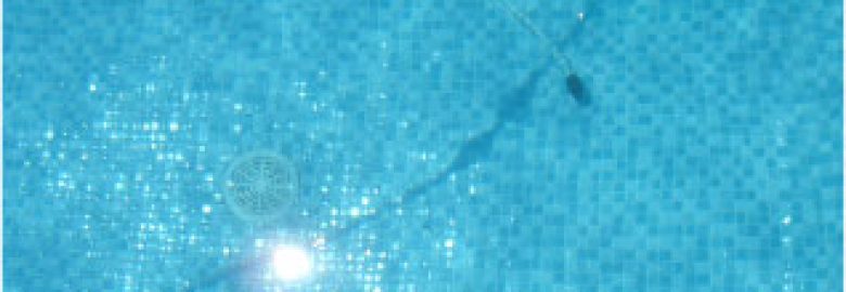 Alexander Pool Service