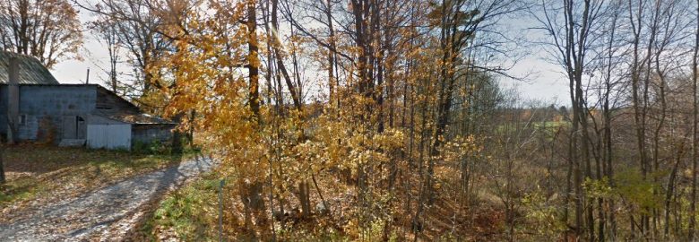 Oasis Pools and Spas